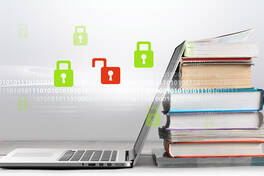 Cybersecurity in e-learning
