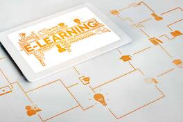 Online Learning Design and Its Impact on Theories of Adult Learning