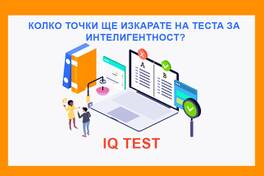 IQ Test / Intelligence Test