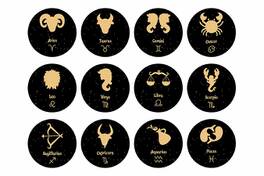 Fun zodiac signs and trainings