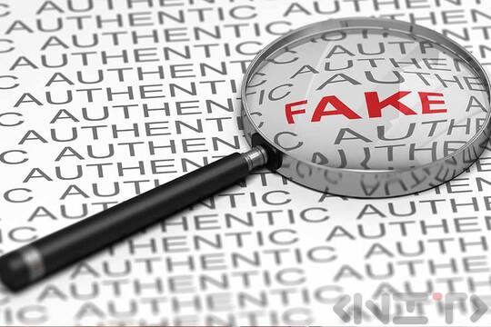 Plagiarism in Online Learning