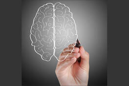 The Brain – Using It to the Maximum and Learning Easily! Part II