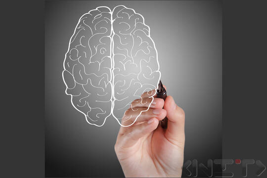 The brain - making the most of it and learning easily! Part II