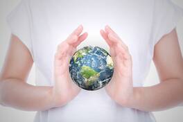 eLearning localization services