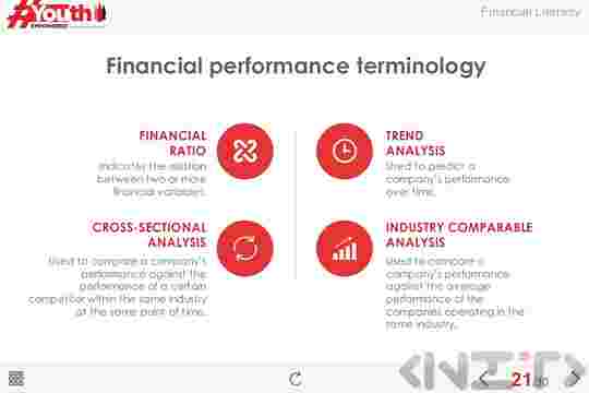 Financial literacy online course - Youth Empowered Programme-3